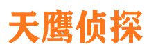 通河市私家侦探